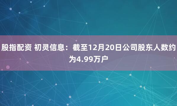 股指配资 初灵信息：截至12月20日公司股东人数约为4.99万户